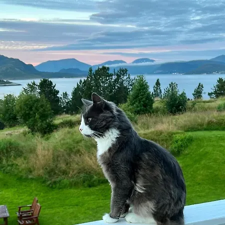 Vintage Apartment With Fresh Sea Air And Pets Ubytování v soukromí